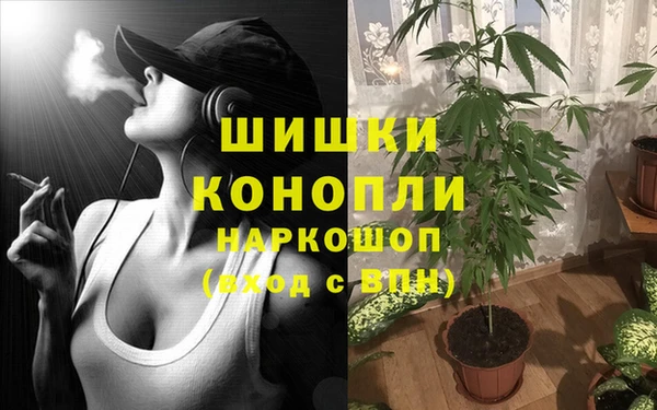 прущие крисы Верея