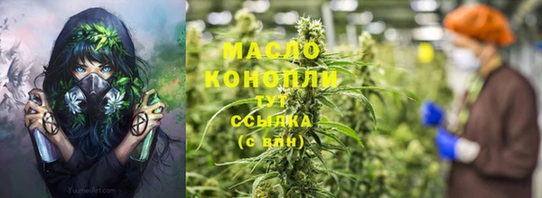 гидра Богородск