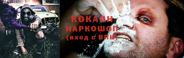 прущие крисы Верея