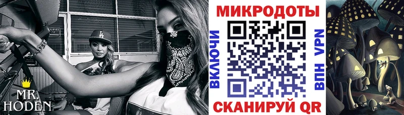 даркнет телеграм  Донецк  Псилоцибиновые грибы мицелий  закладки 